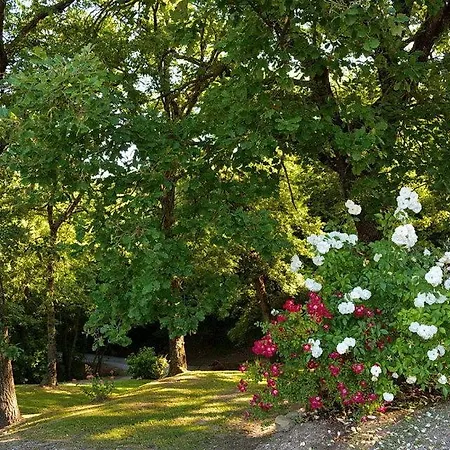 Giusi & Dario's Villa Cortona