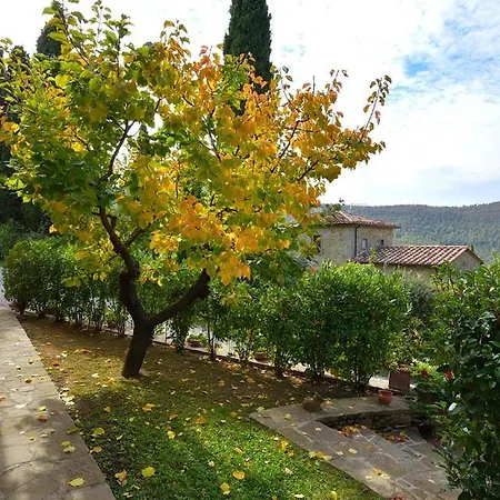 Giusi & Dario's *